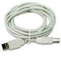 USB Cable A-B