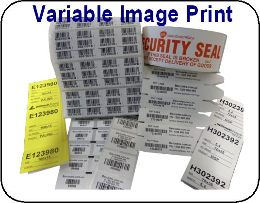 variable-image.png